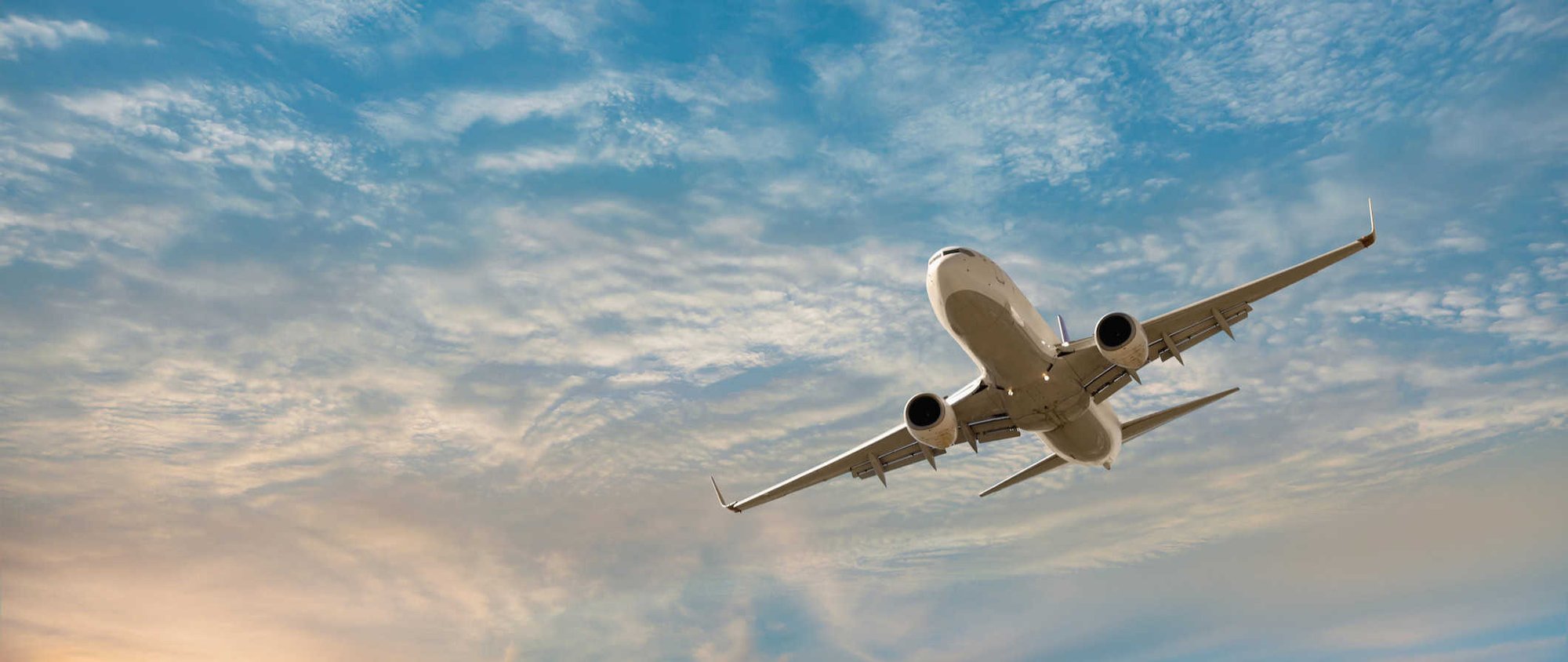 flighttips1 flighttips1